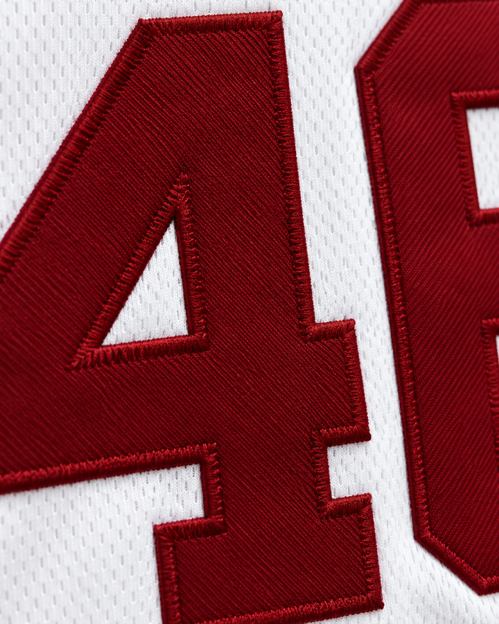 Embroidery detail product mockup of Winston Running Hawk 46 Pythons Basketball Jersey.